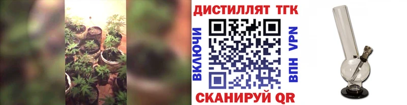 ТГК гашишное масло  Купить  Кингисепп 
