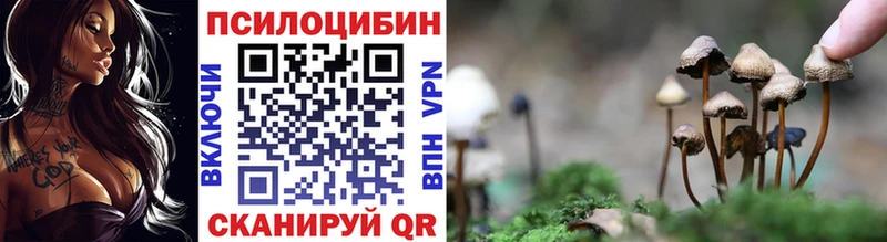 Купить где  Кингисепп  Галлюциногенные грибы Magic Shrooms 