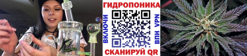 Каннабис OG Kush  Купить  Кингисепп 